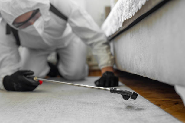 Professional Bed Bug Control technician working in Linden, TX