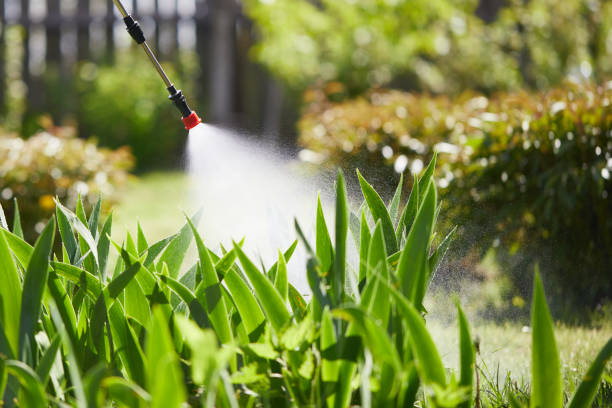 24/7 Emergency Bed Bug Control experts in Linden, TX